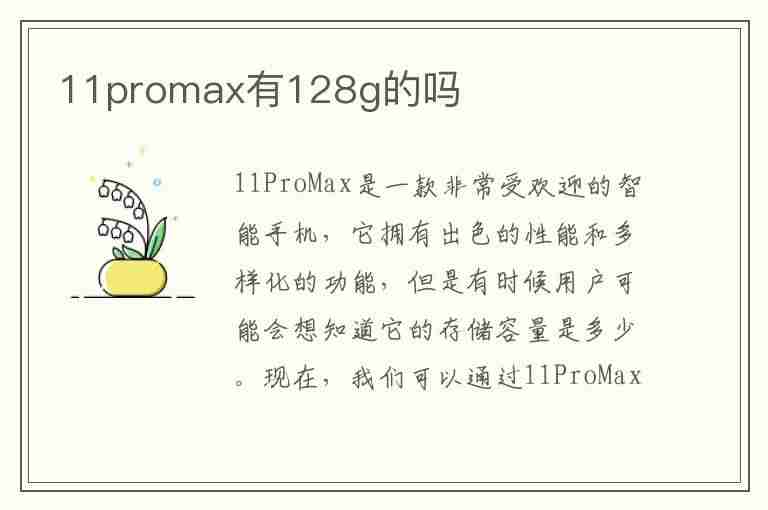 11promax有128g的吗(11promax有128g的吗为什么有人卖)